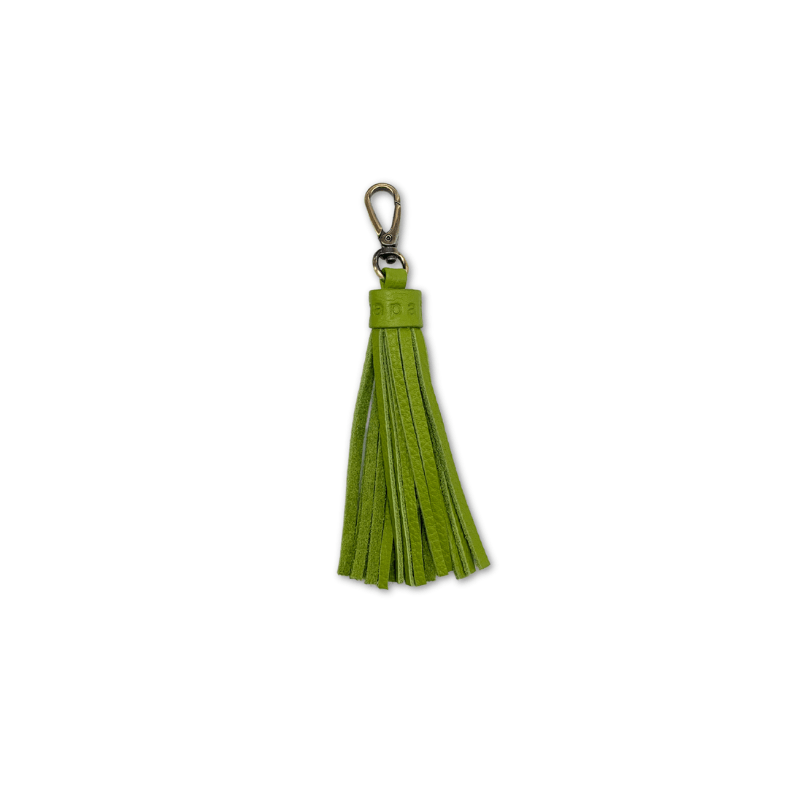 Tassel Key Chain and Bag Charm