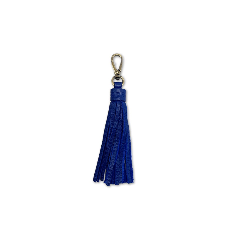 Tassel Key Chain and Bag Charm