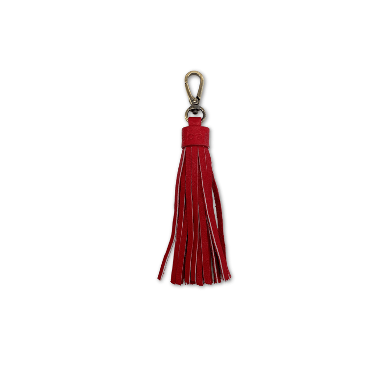 Tassel Key Chain and Bag Charm