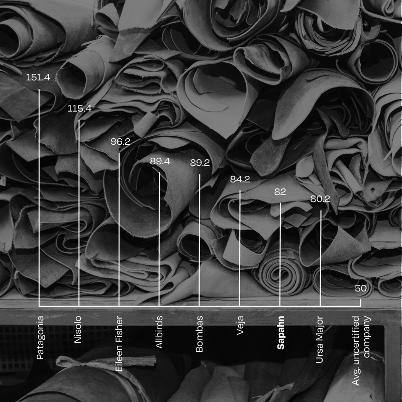 B_Corp_Score_Chart-Sapahn