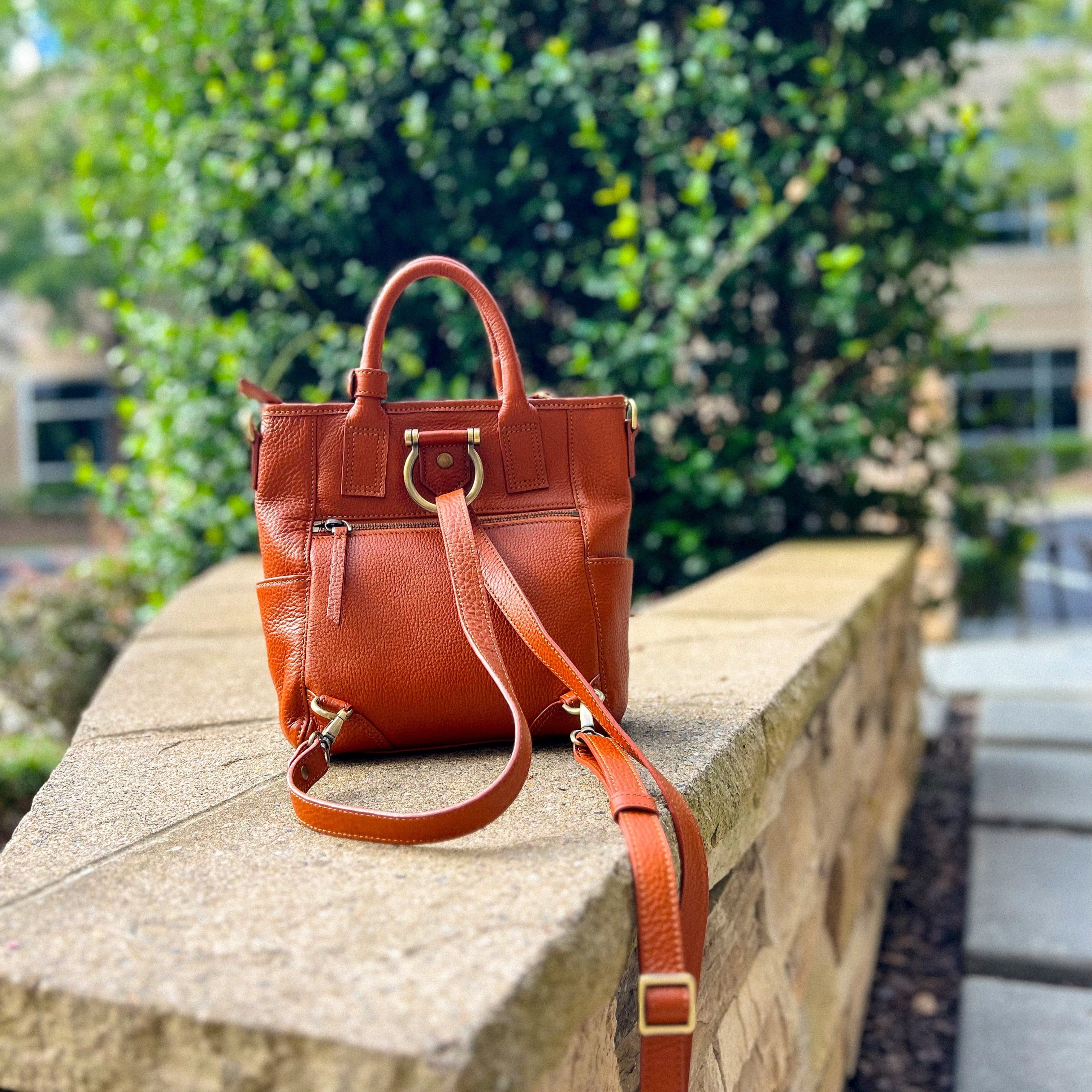 Chloe Mini Convertible Backpack and Crossbody