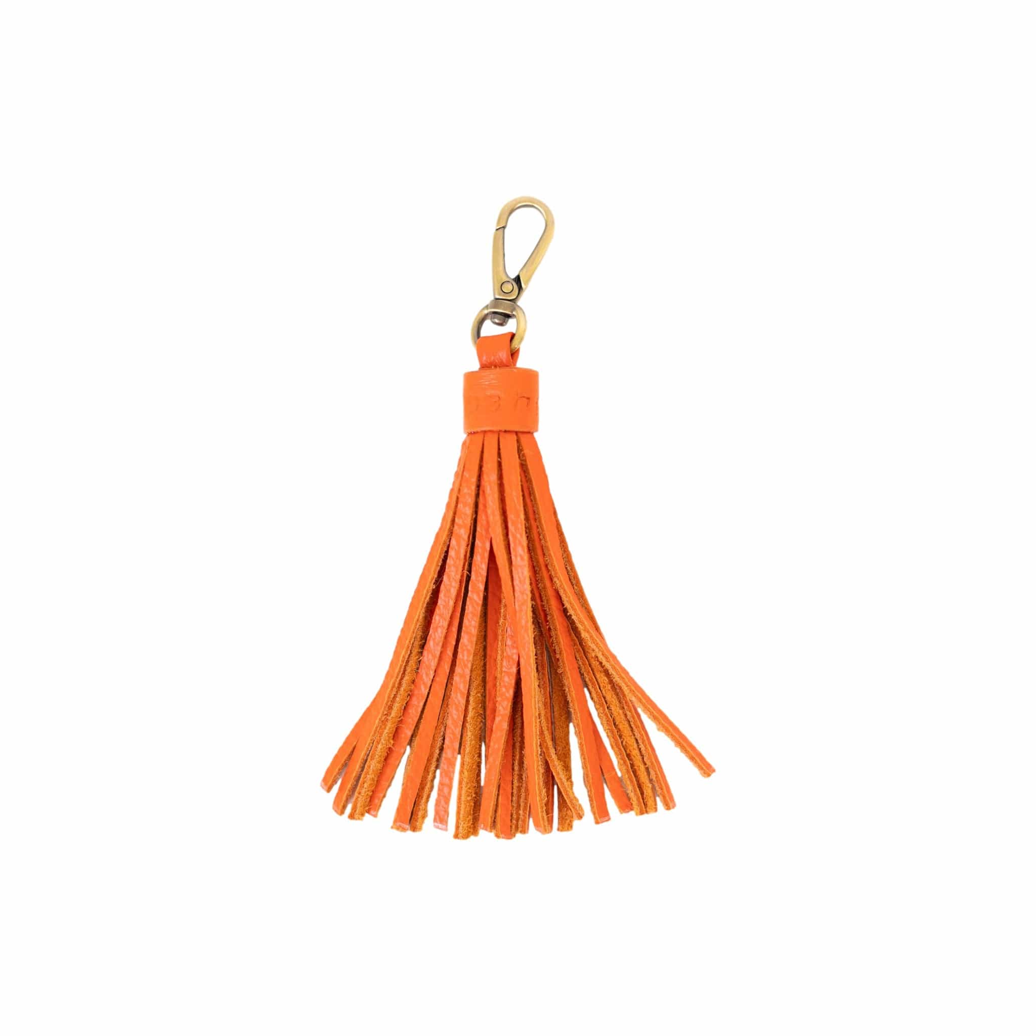 Tassel Key Chain and Bag Charm