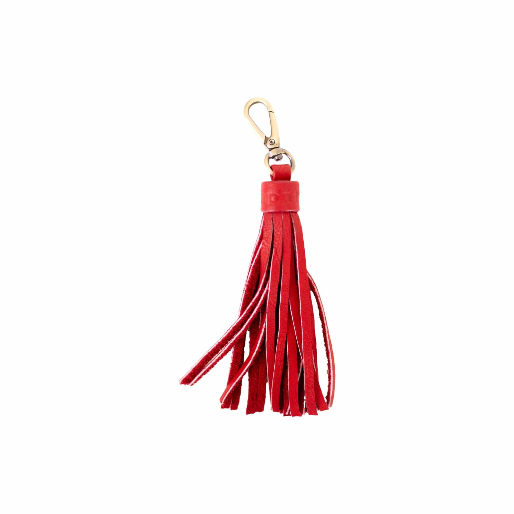 Tassel Key Chain and Bag Charm