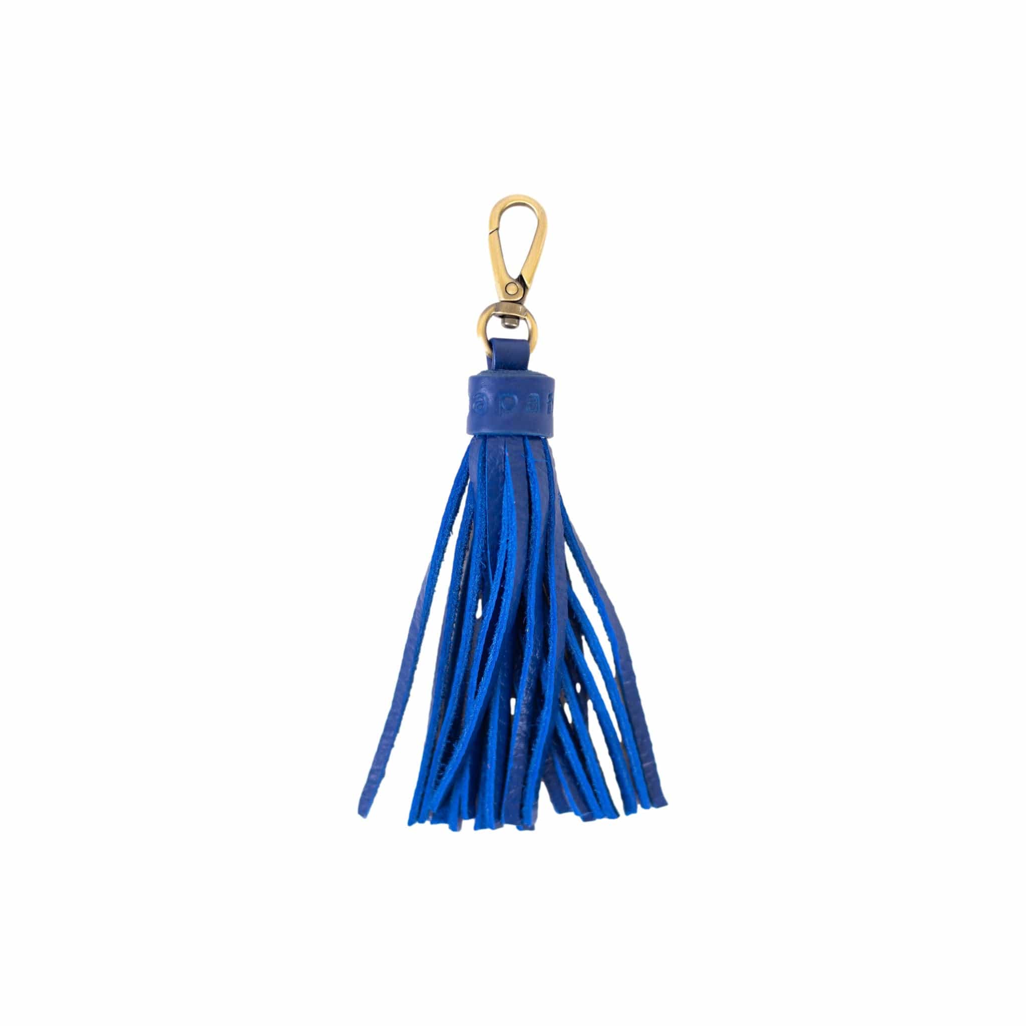 Tassel Key Chain and Bag Charm