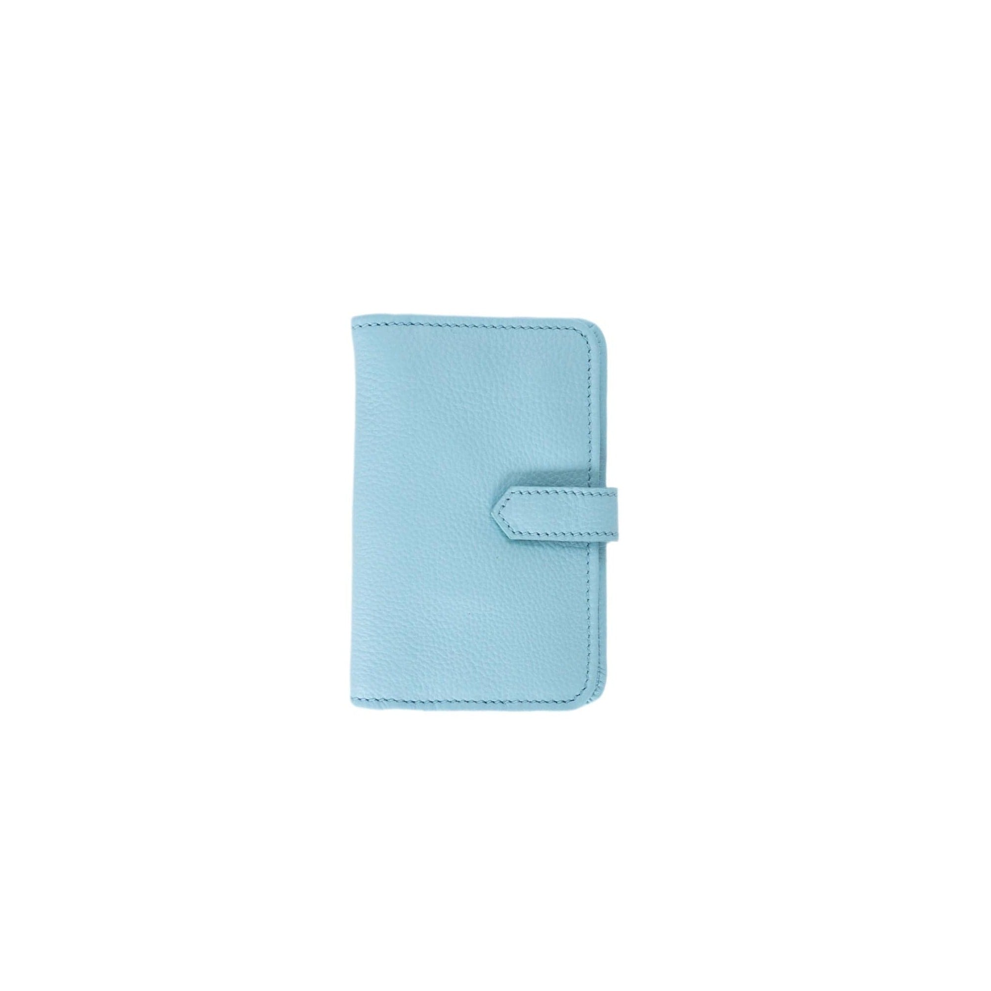 Dana Jewelry Travel Organizer - Silver Sky Blue Oil Leather | Sapahn.
