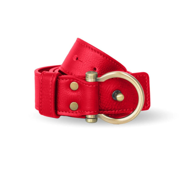 sapahn-product-wide-omega-belt