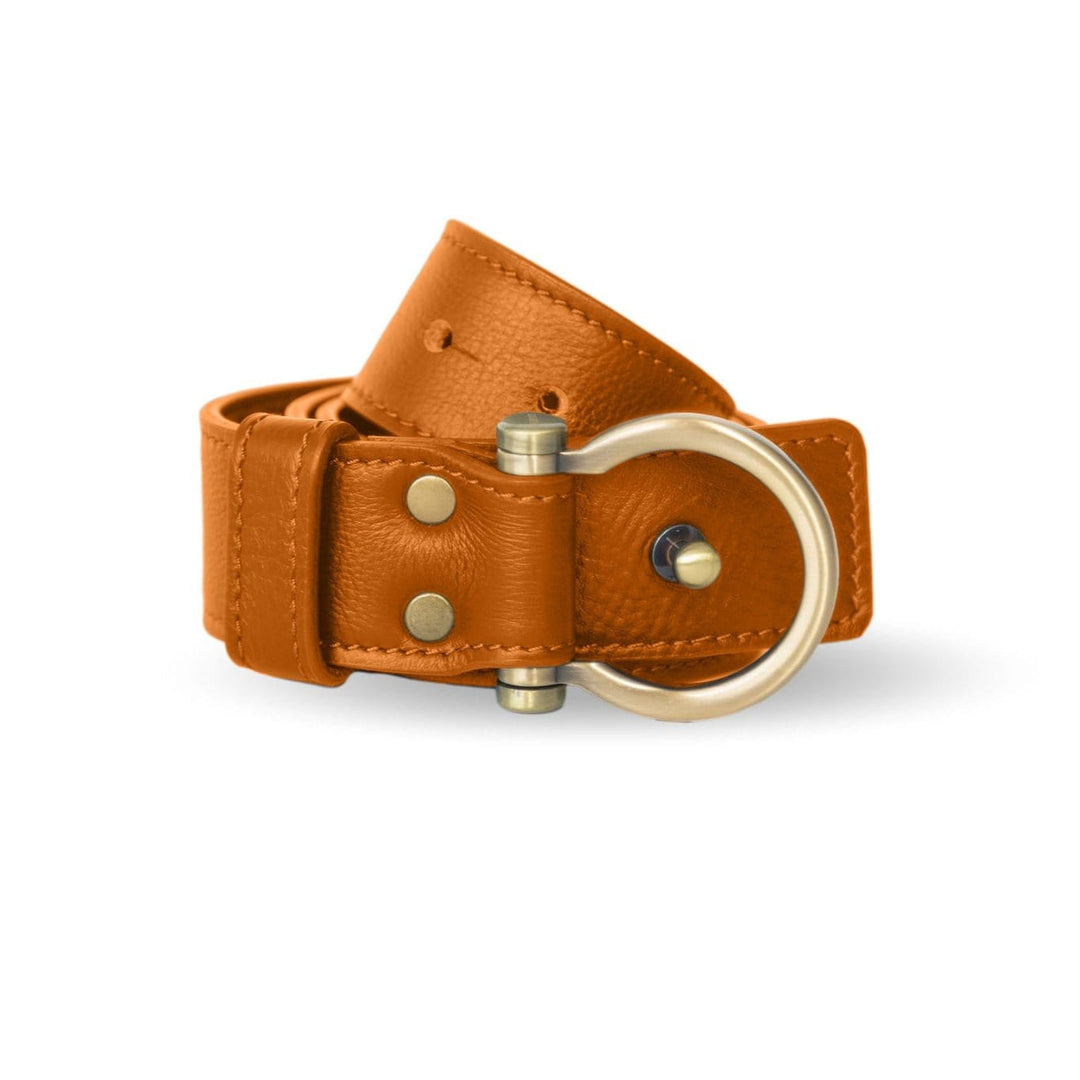 sapahn-product-wide-omega-belt  display picture 3